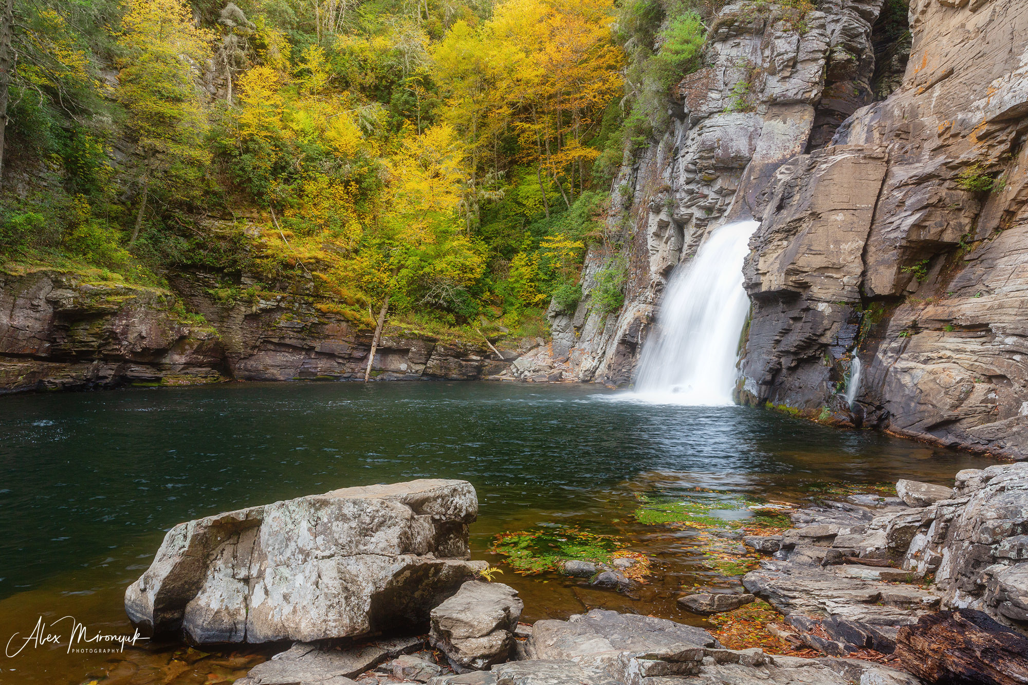 Fall Colors of Blue Ridge Parkway. Alex Mironyuk Photography