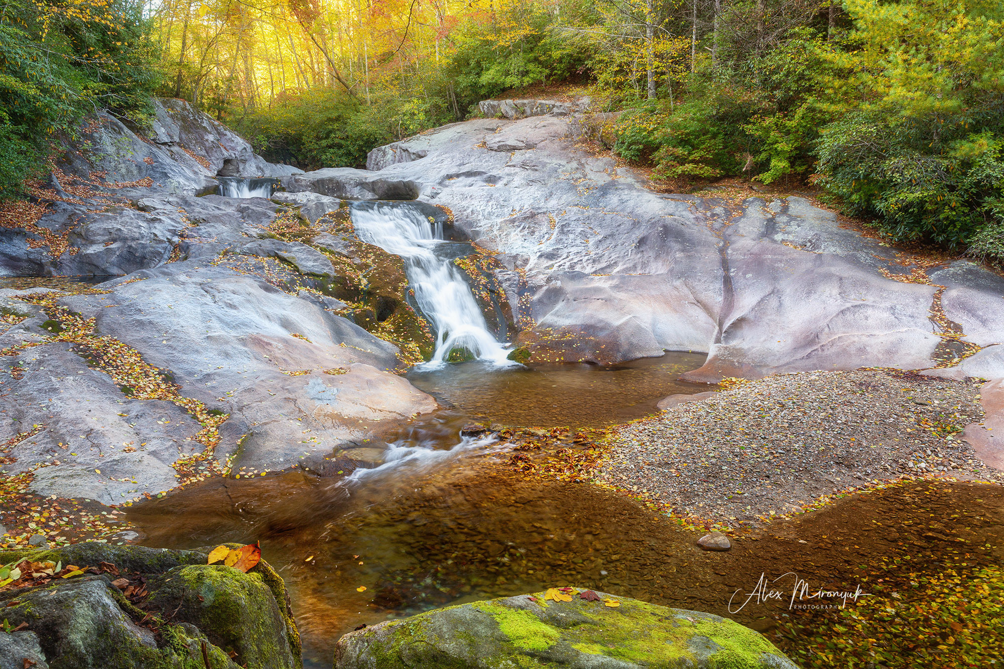 Fall Colors of Blue Ridge Parkway. Alex Mironyuk Photography