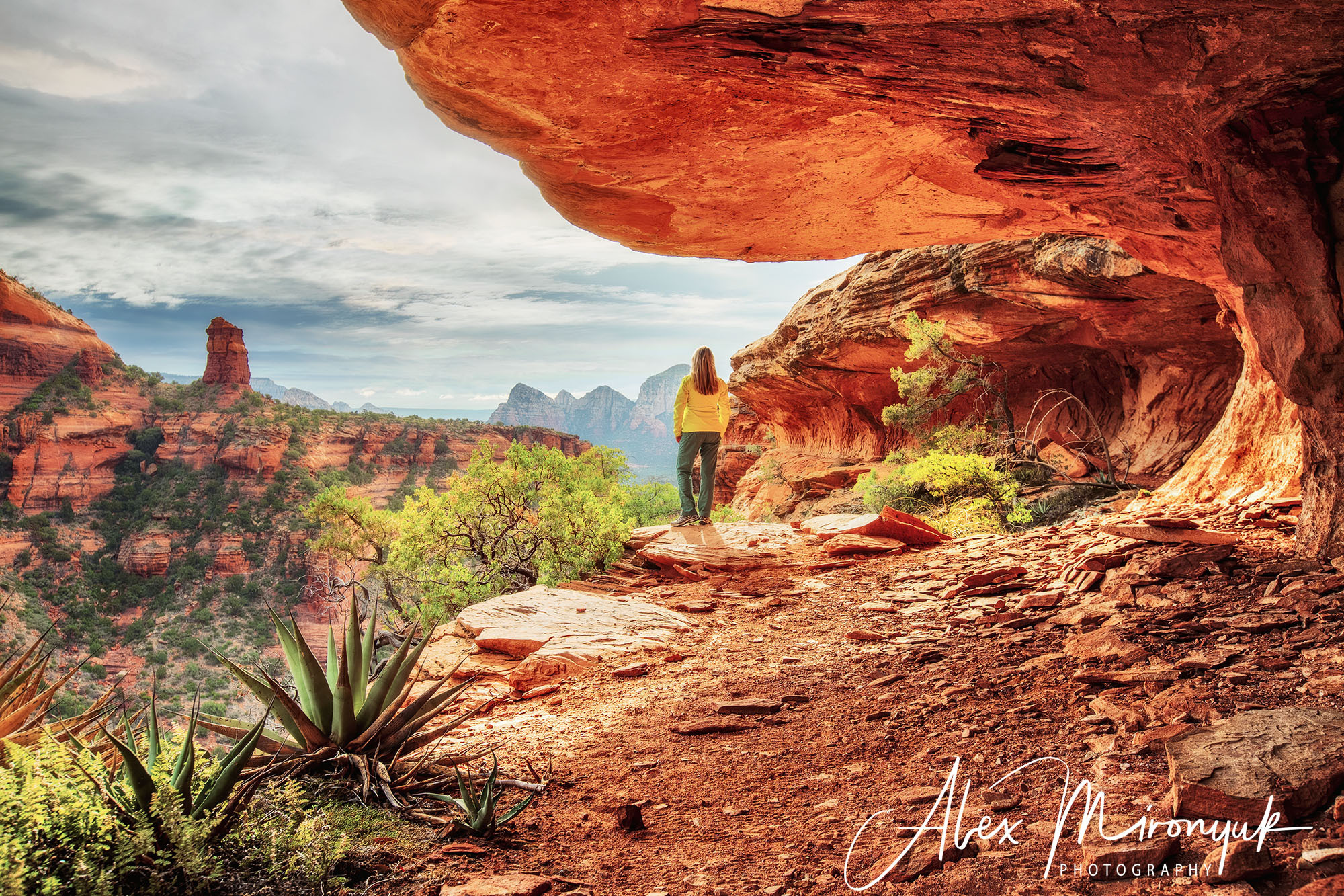 New Year In Sedona. Pet, Senior, Landscape, portrait studio, photographer in Miami and Sou