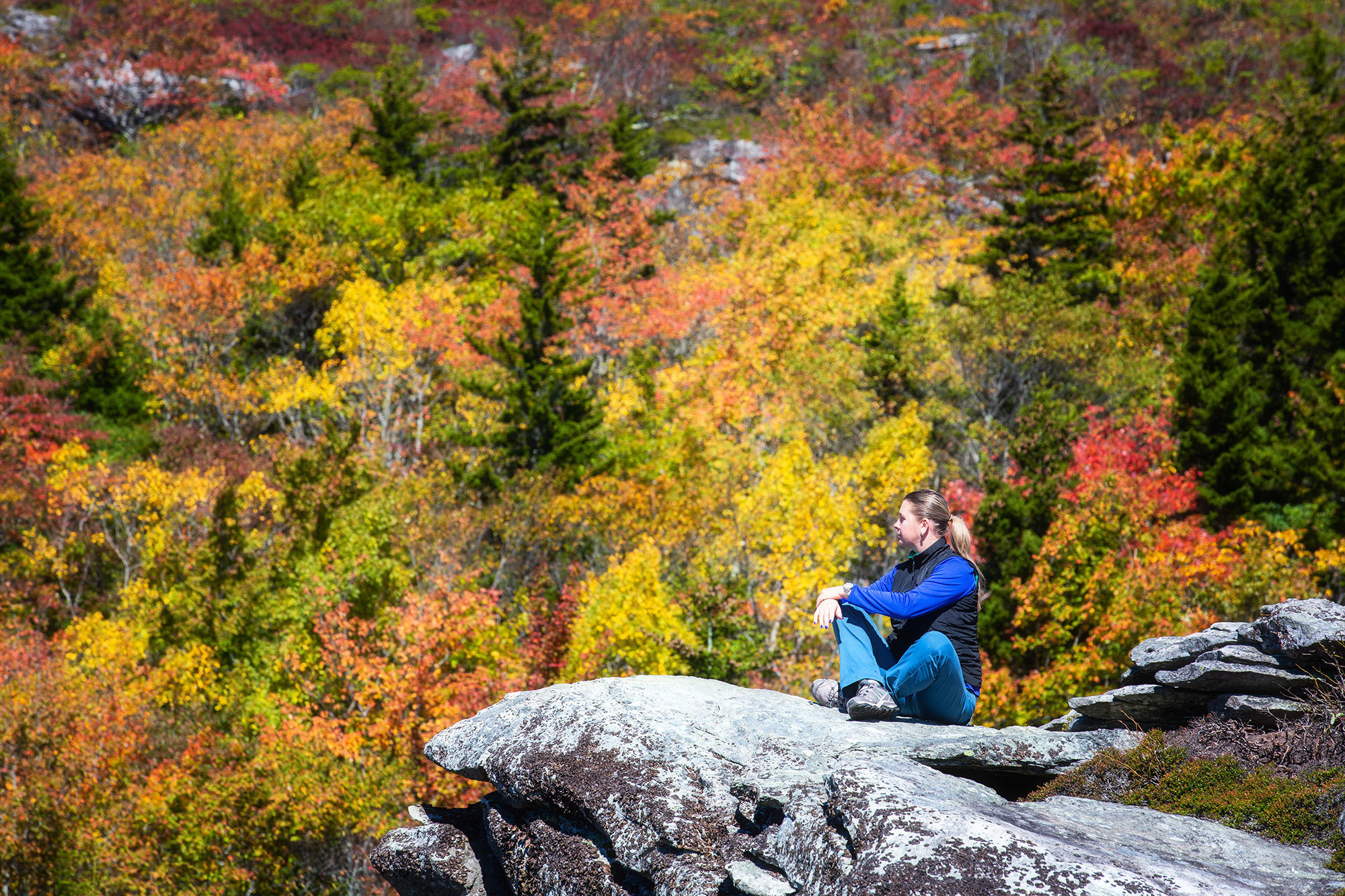 Fall Colors of Blue Ridge Parkway. Alex Mironyuk Photography