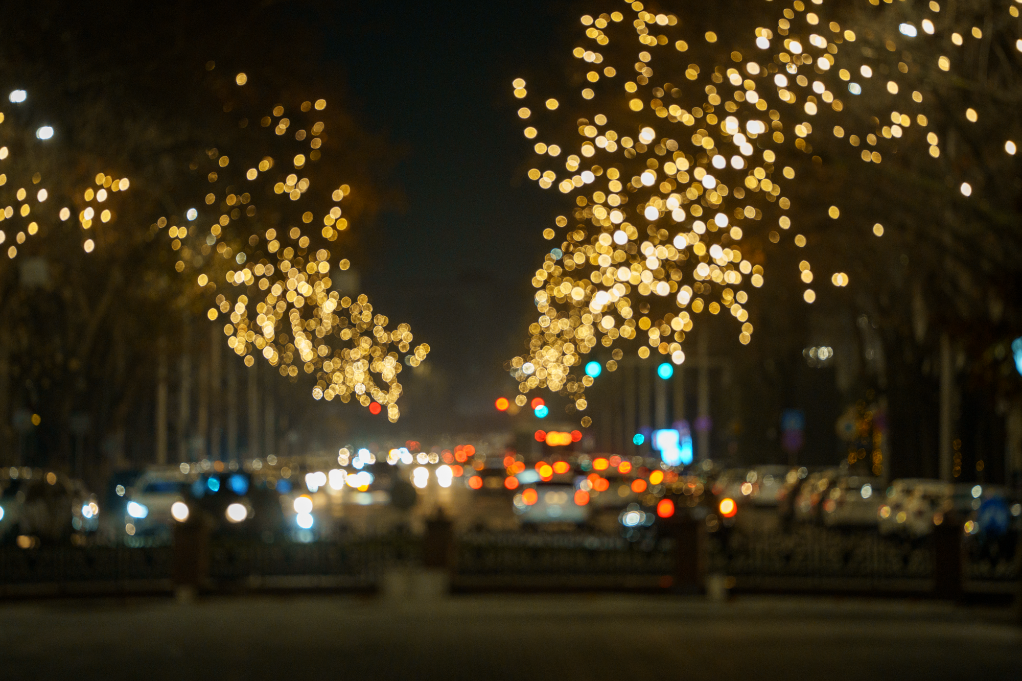 Sigma 70-200 DG DN OS. Фотограф Григорий Кравец