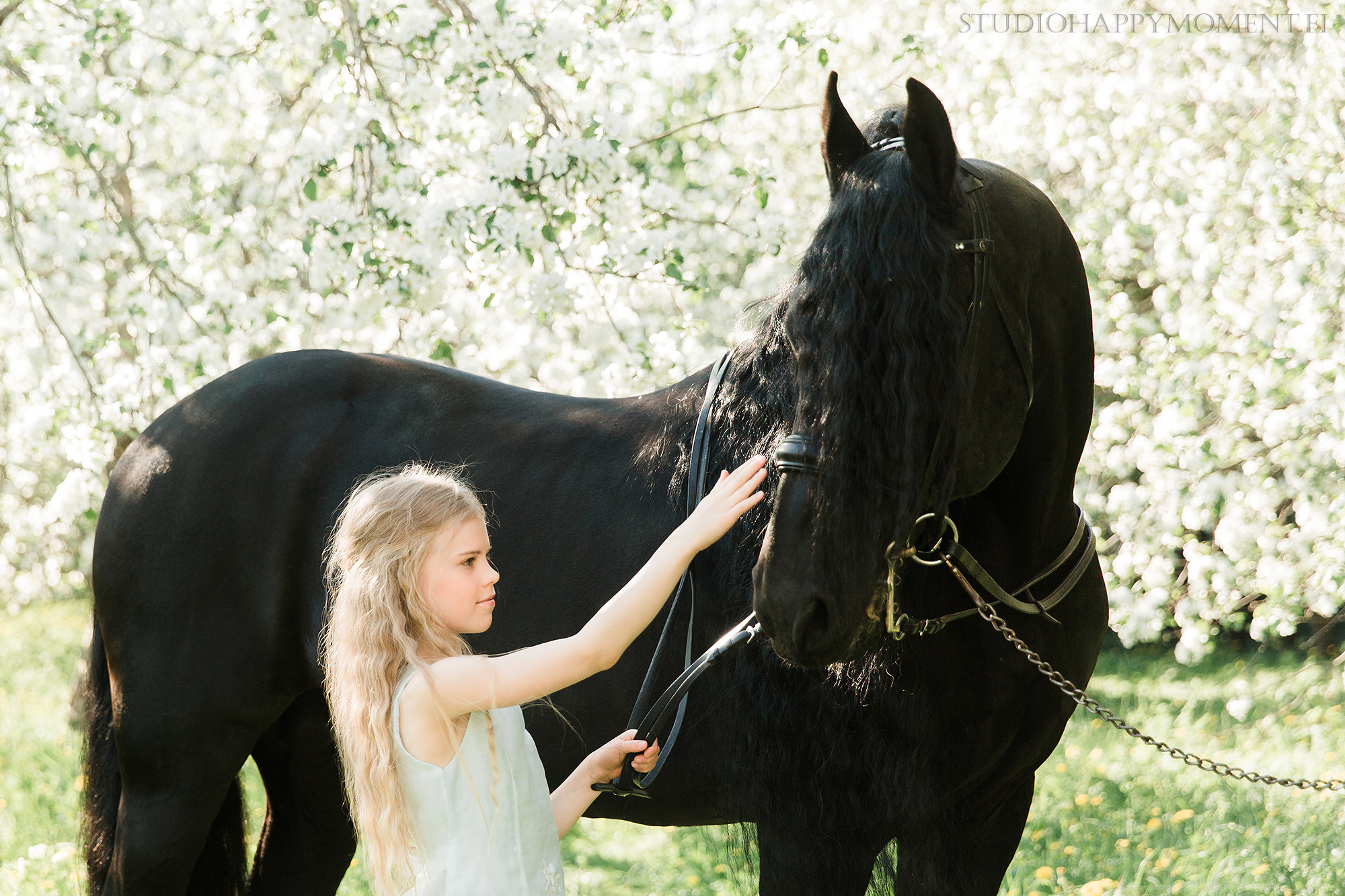 Perhekuvaus helsingissä omenatarhassa