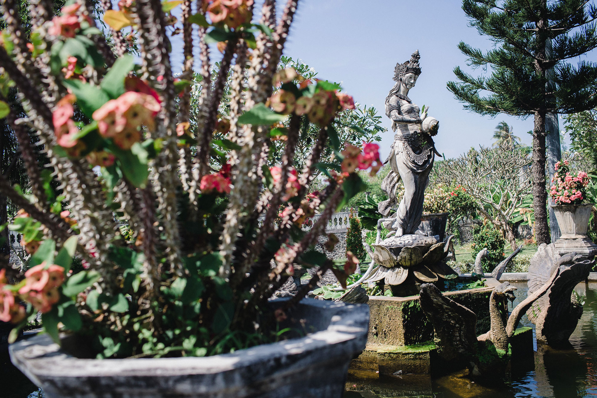 Wedding and family photographer at Bali. Sergio Russo — TOP Wedding Photographer in Dubai