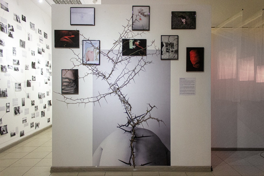 Curatorial. Katya Bogachevskaya — independent curator, lecturer