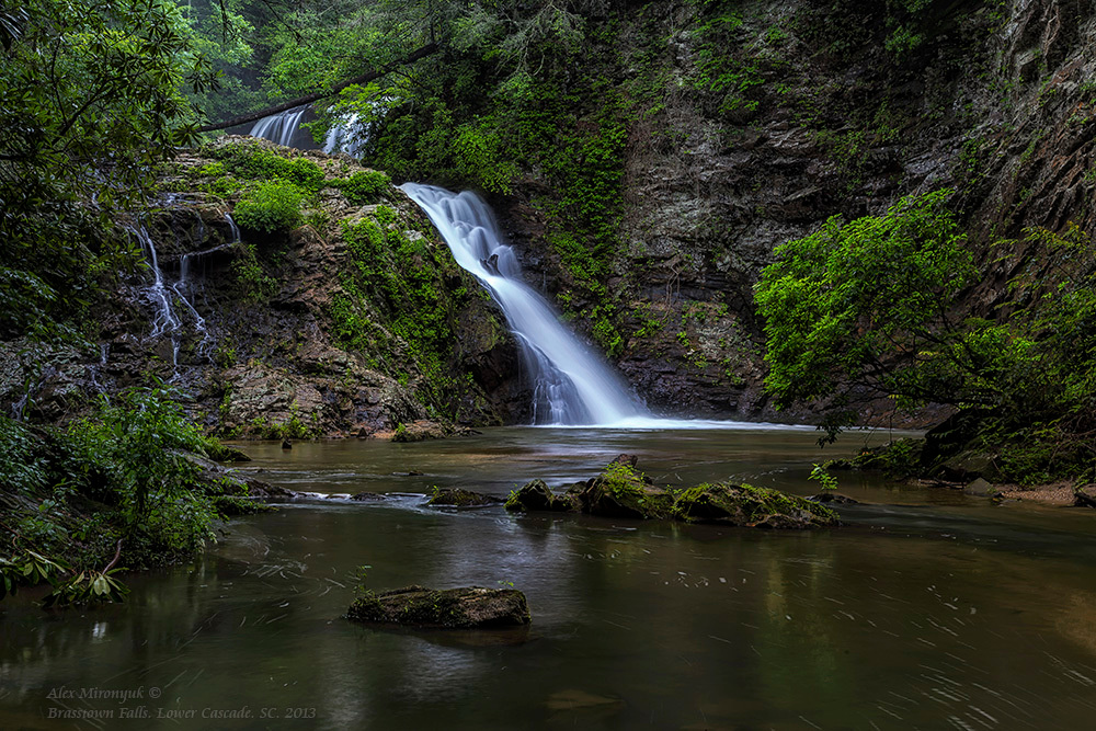 Smokey Mountains Черновик программы. Pet, Senior, Landscape, portrait studio, photographer in Miami and Sou