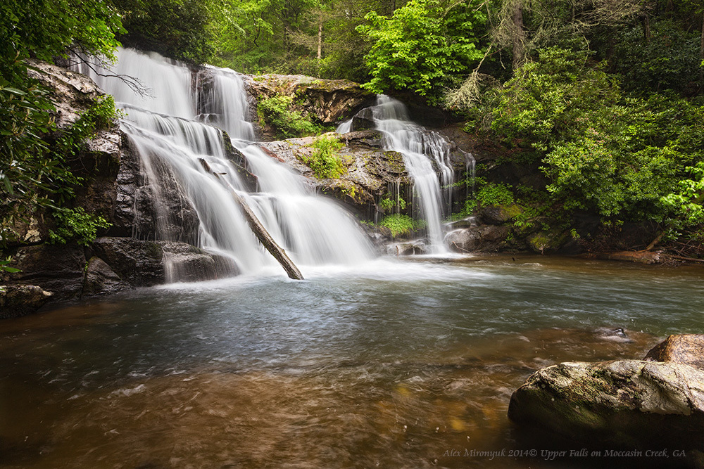 Smokey Mountains Черновик программы. Pet, Senior, Landscape, portrait studio, photographer in Miami and Sou