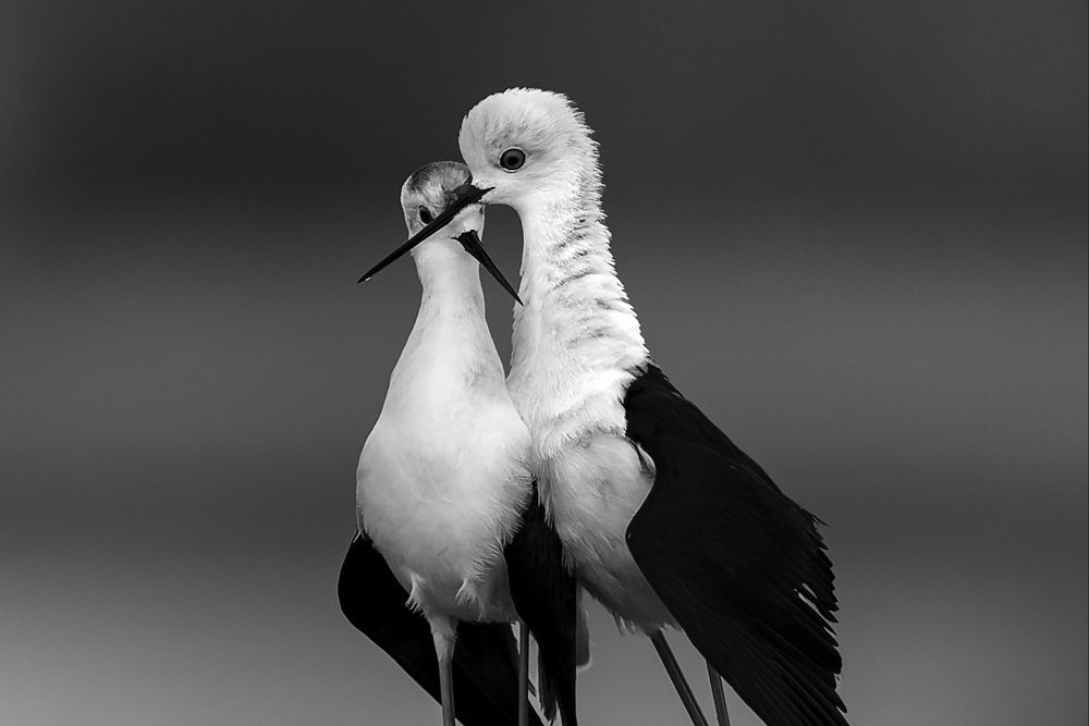 Store. Akhil Vinayak Menon Photography