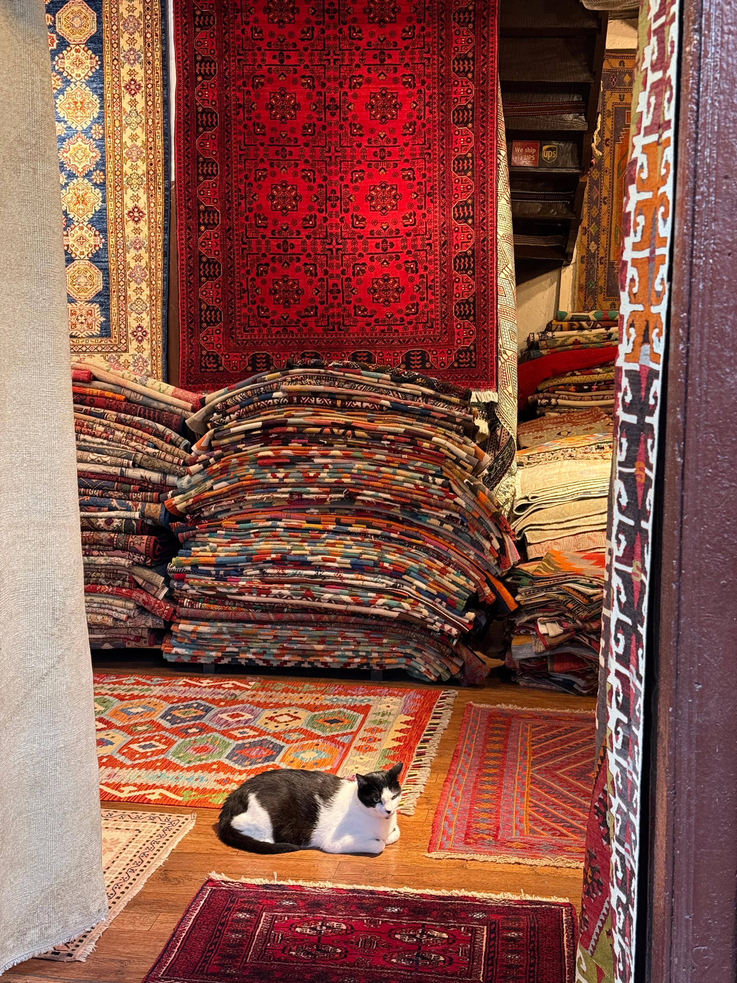 9 Tage in der Türkei: Entspannt und locker. Zwei Tage in jeder Stadt: Istanbul, Antalya, Kaş und ein Villenaufenthalt mit Bergblick