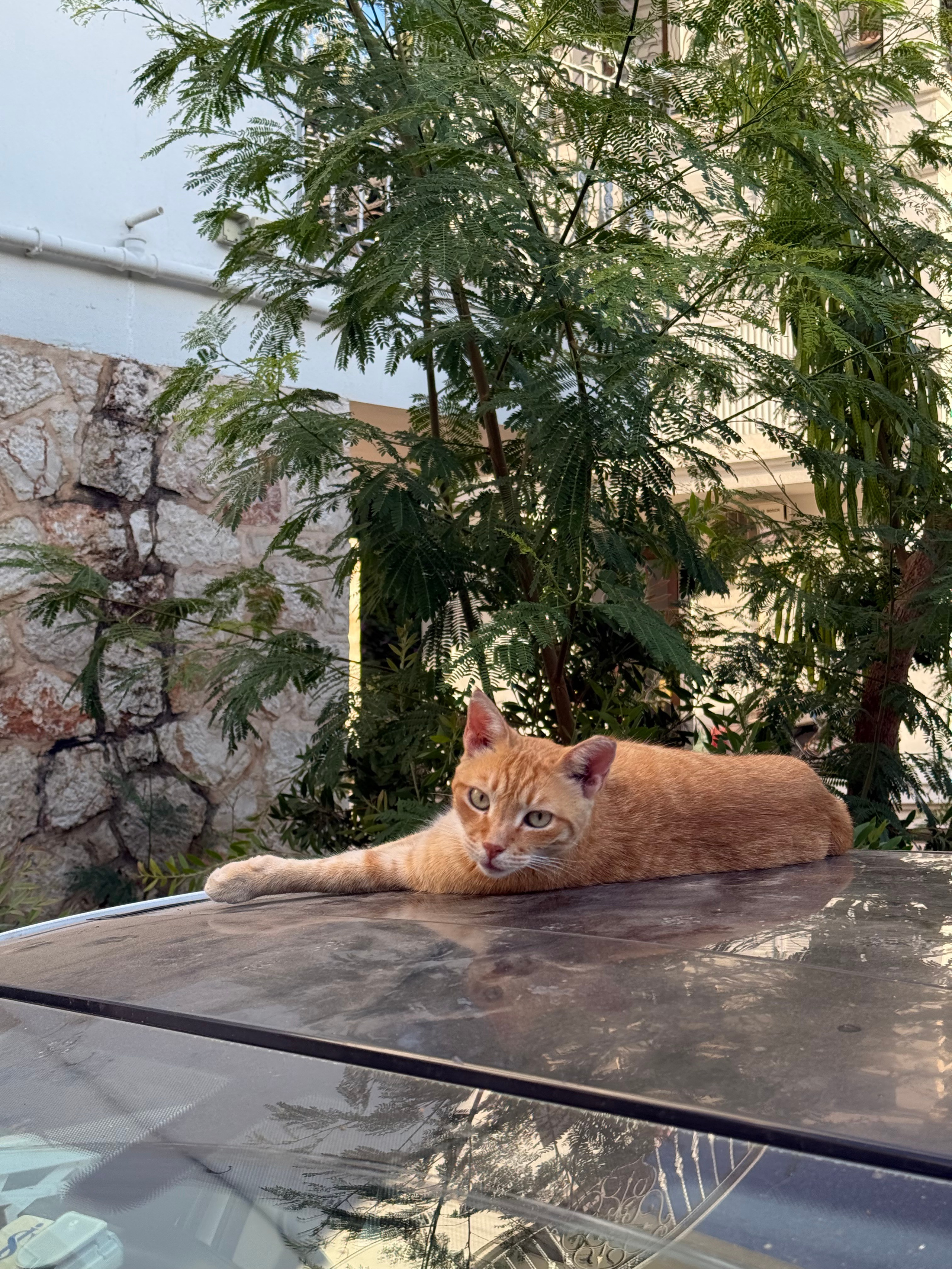 9 Tage in der Türkei: Entspannt und locker. Zwei Tage in jeder Stadt: Istanbul, Antalya, Kaş und ein Villenaufenthalt mit Bergblick