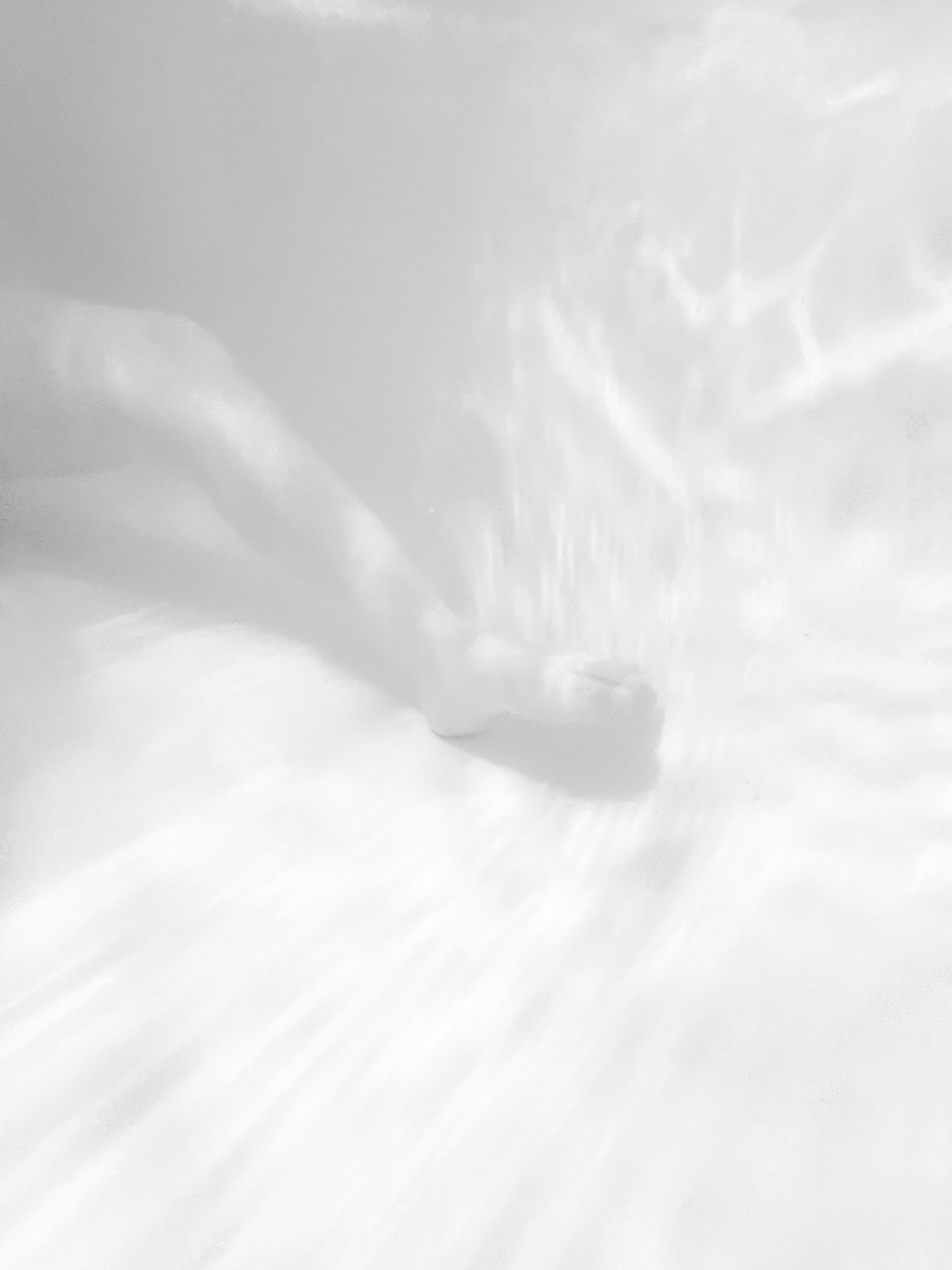 Подводный диалог. Anastasia Shapoval violoniste et photographe. Annecy — Geneve