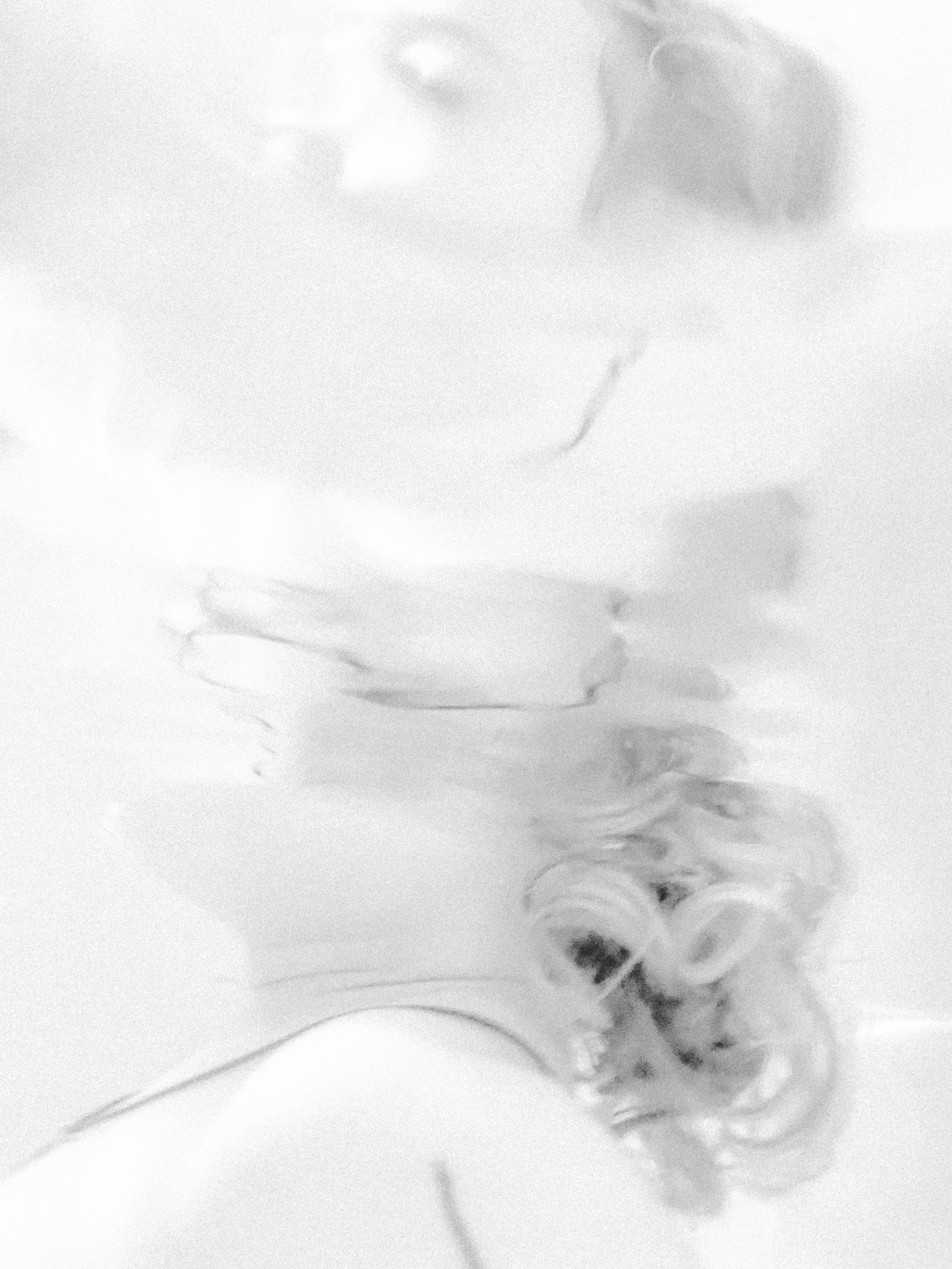 Подводный диалог. Anastasia Shapoval violoniste et photographe. Annecy — Geneve