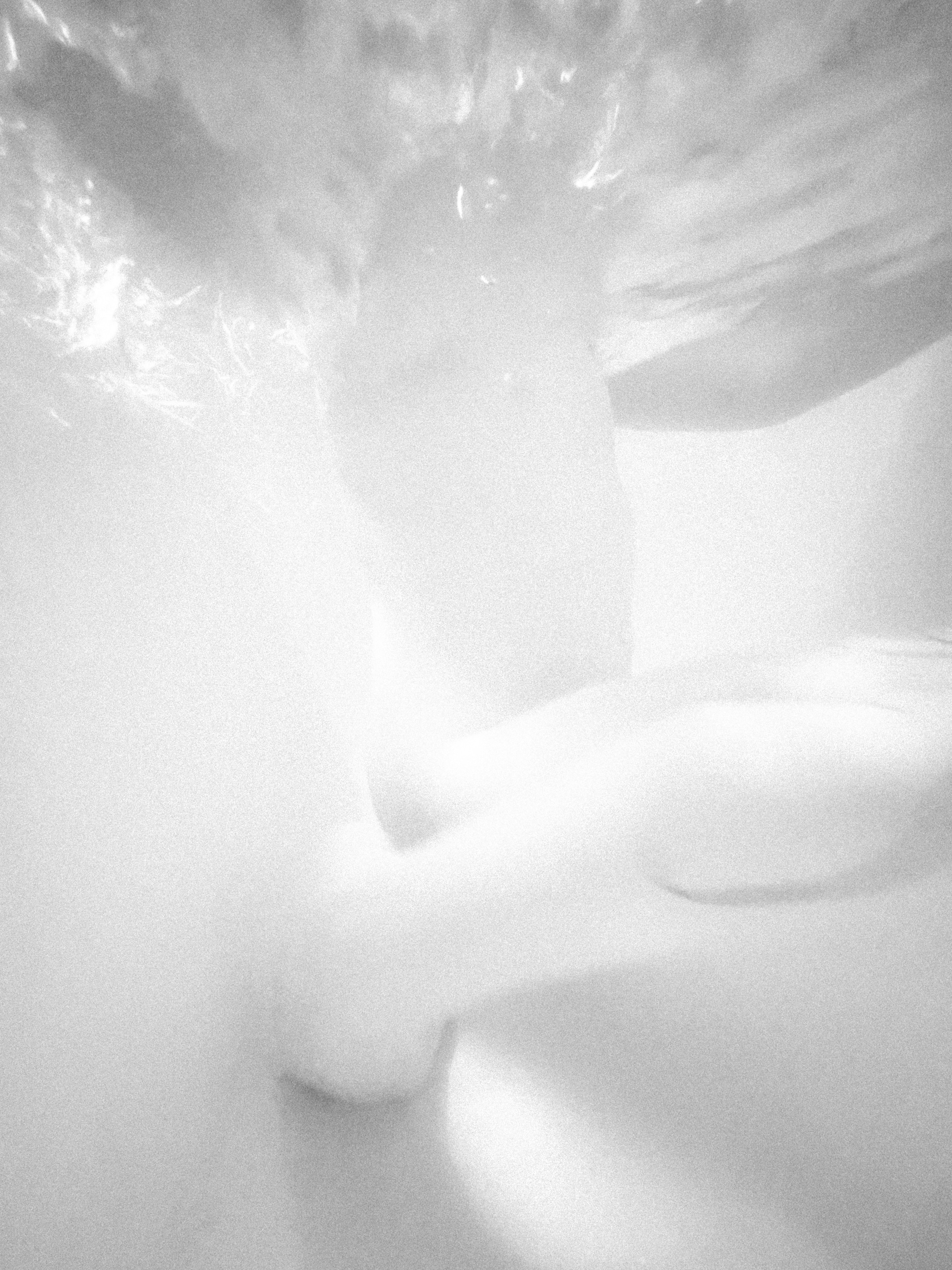 Подводный диалог. Anastasia Shapoval violoniste et photographe. Annecy — Geneve