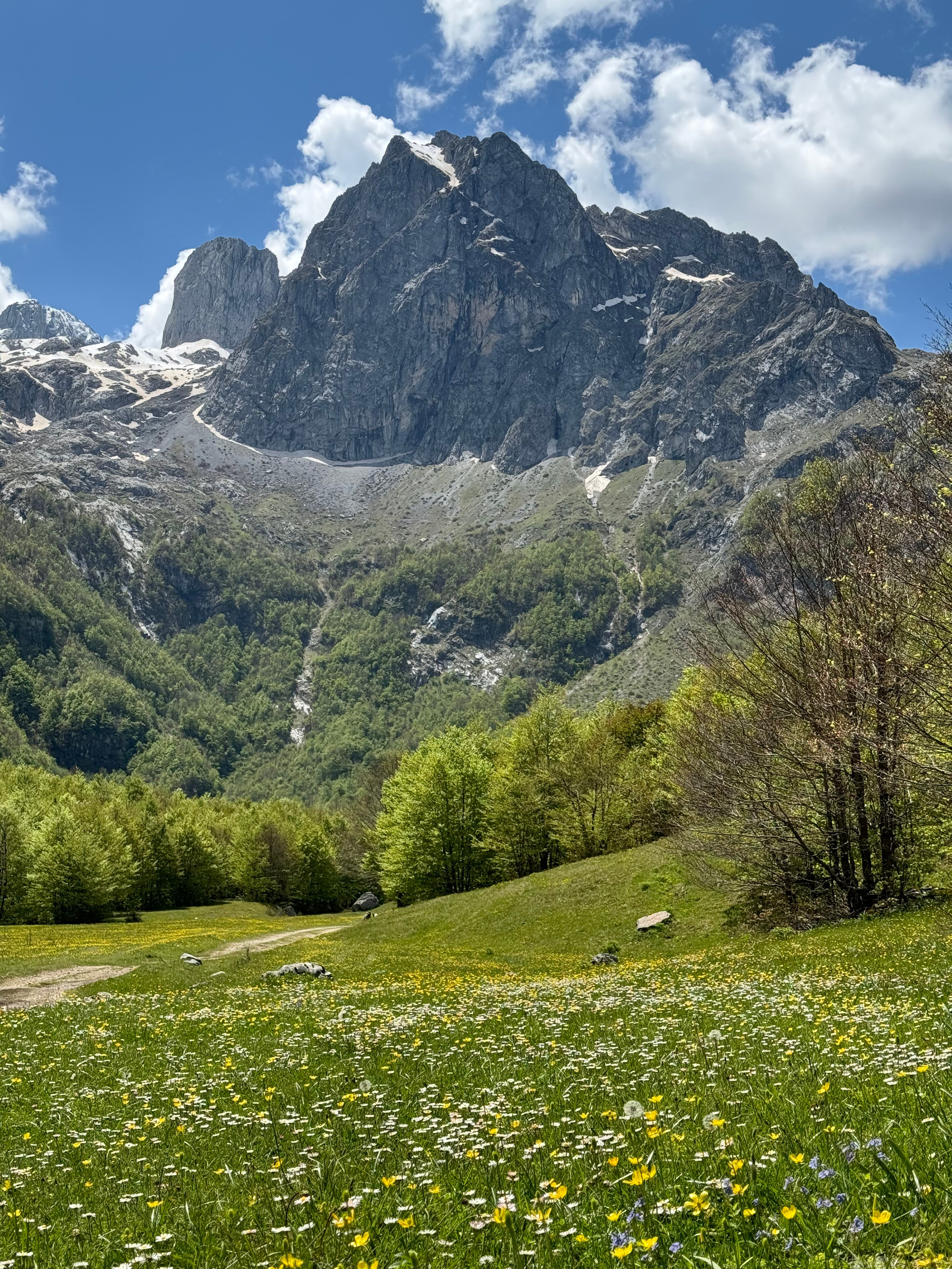 Nationale Parken van Montenegro: Verken Natuurlijke Schoonheid
