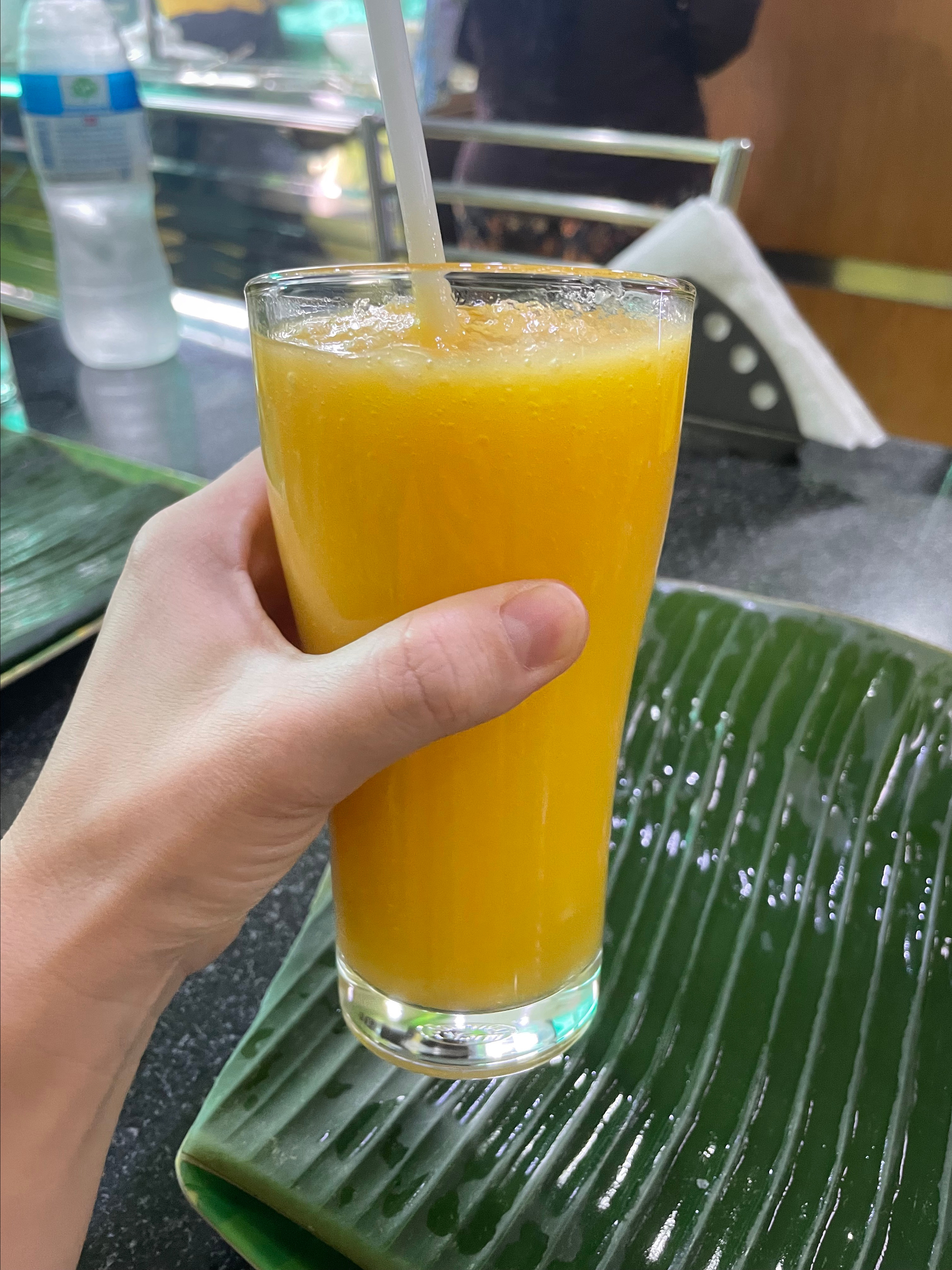 Sri Lanka'ya Seyahat Etmenin Artıları ve Eksileri - Kapsamlı Bir Rehbe