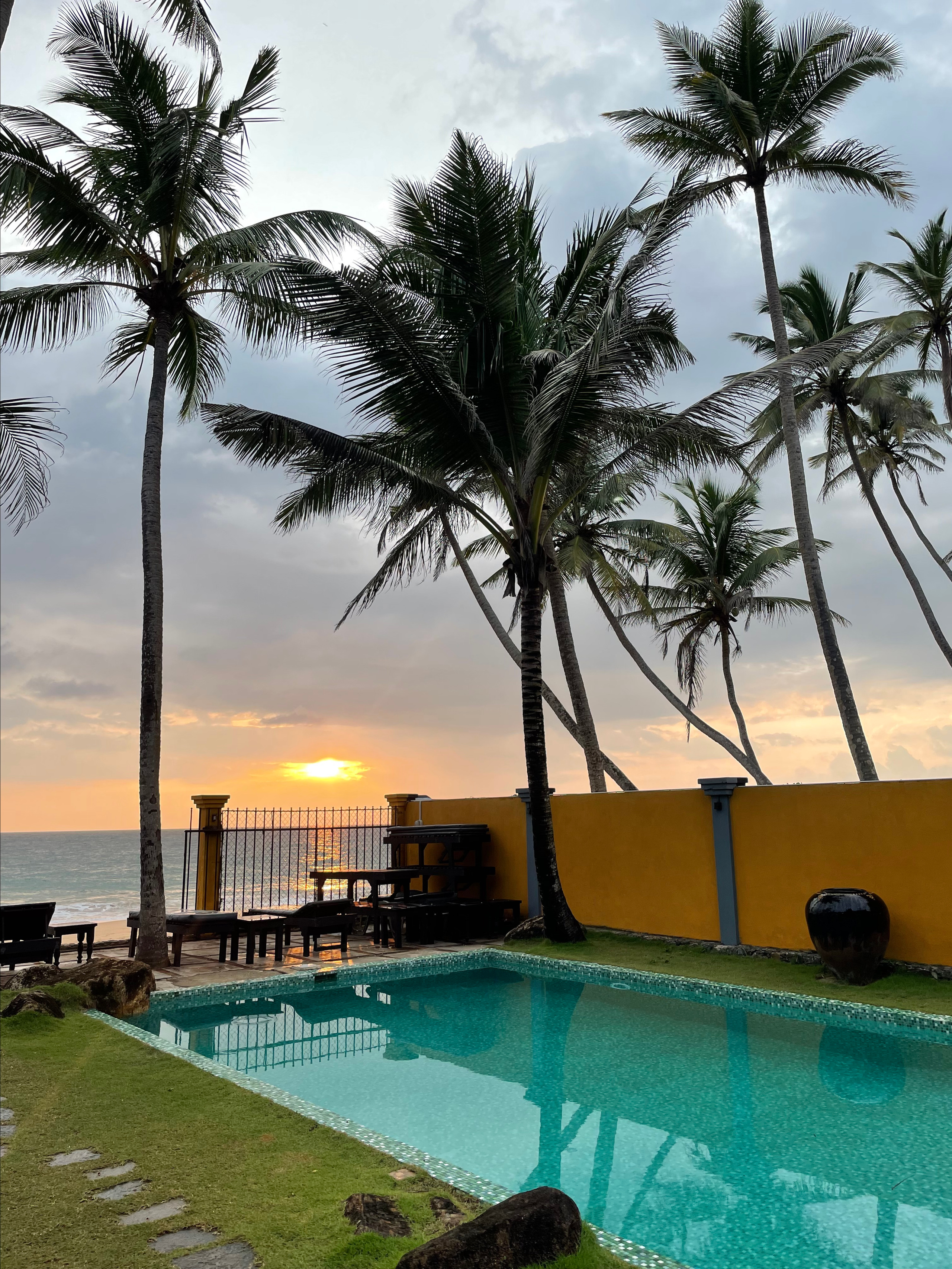 Sri Lanka'ya Seyahat Etmenin Artıları ve Eksileri - Kapsamlı Bir Rehbe