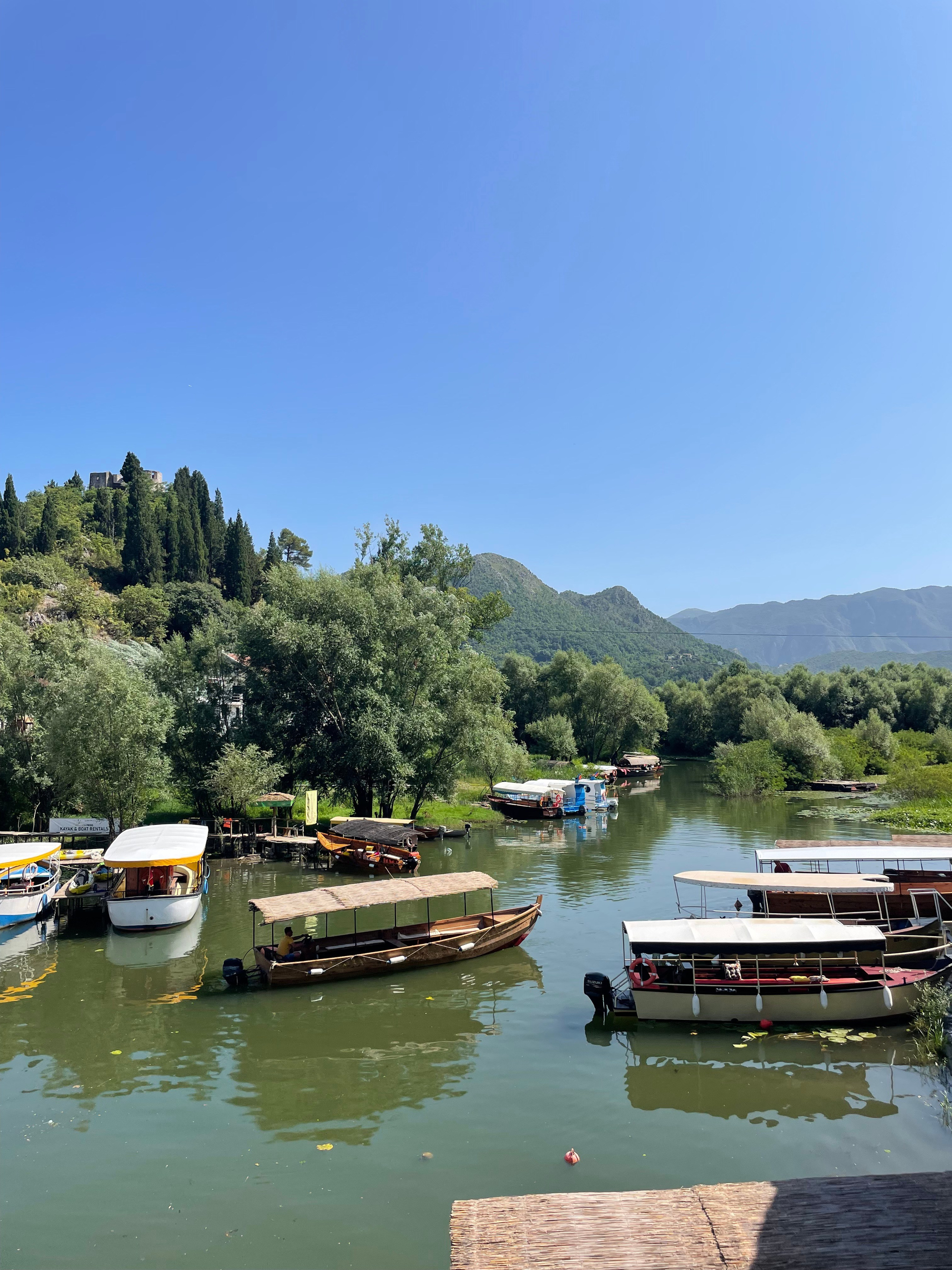 Nationale Parken van Montenegro: Verken Natuurlijke Schoonheid