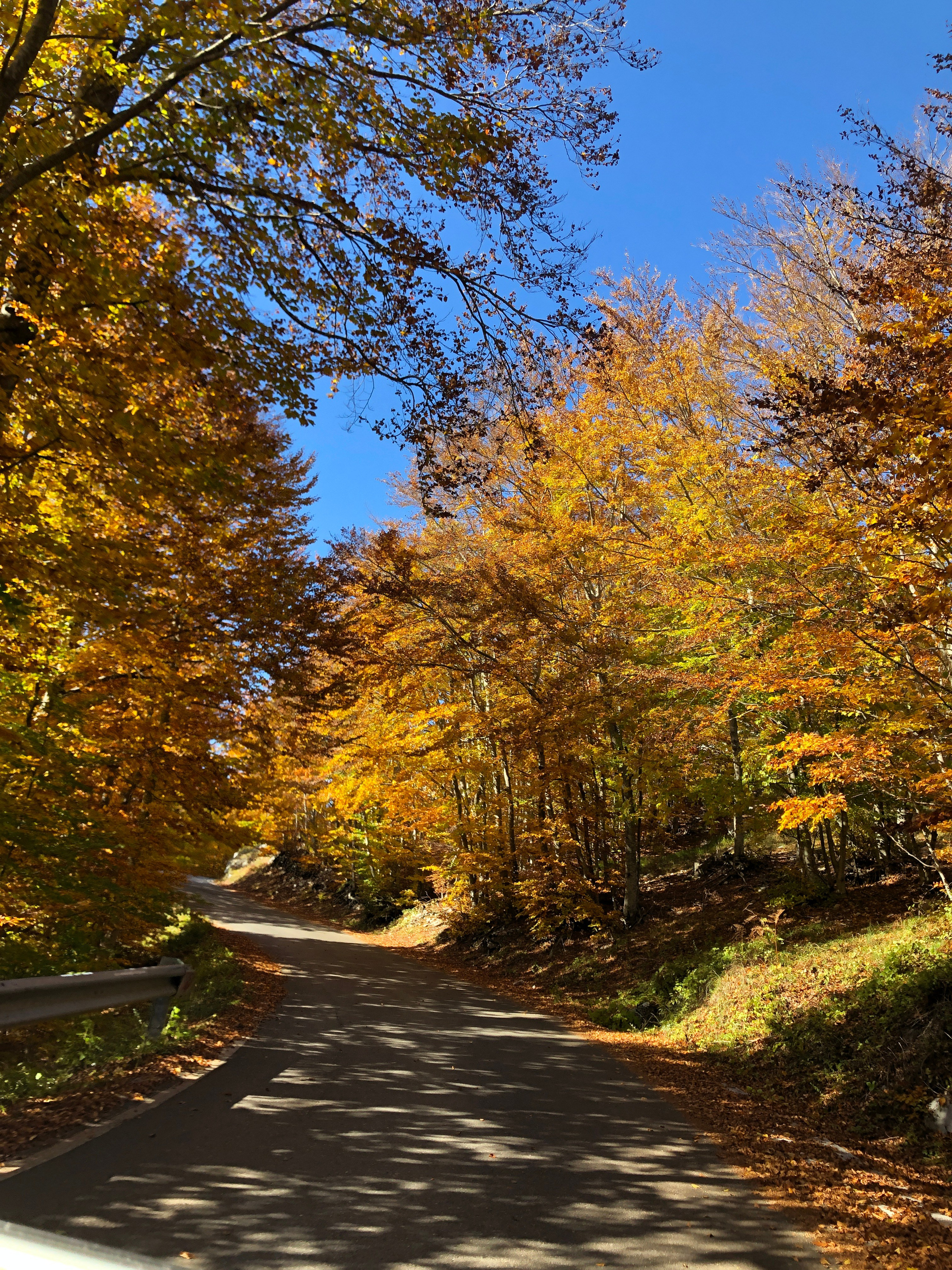 Nationale Parken van Montenegro: Verken Natuurlijke Schoonheid