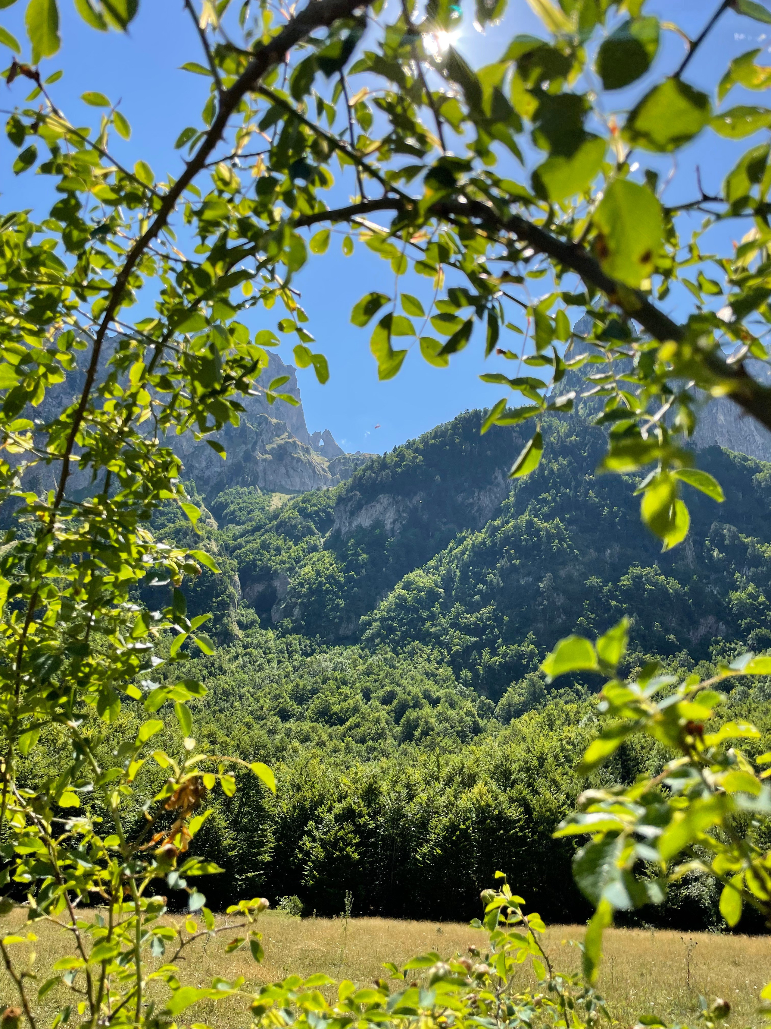 Nationale Parken van Montenegro: Verken Natuurlijke Schoonheid
