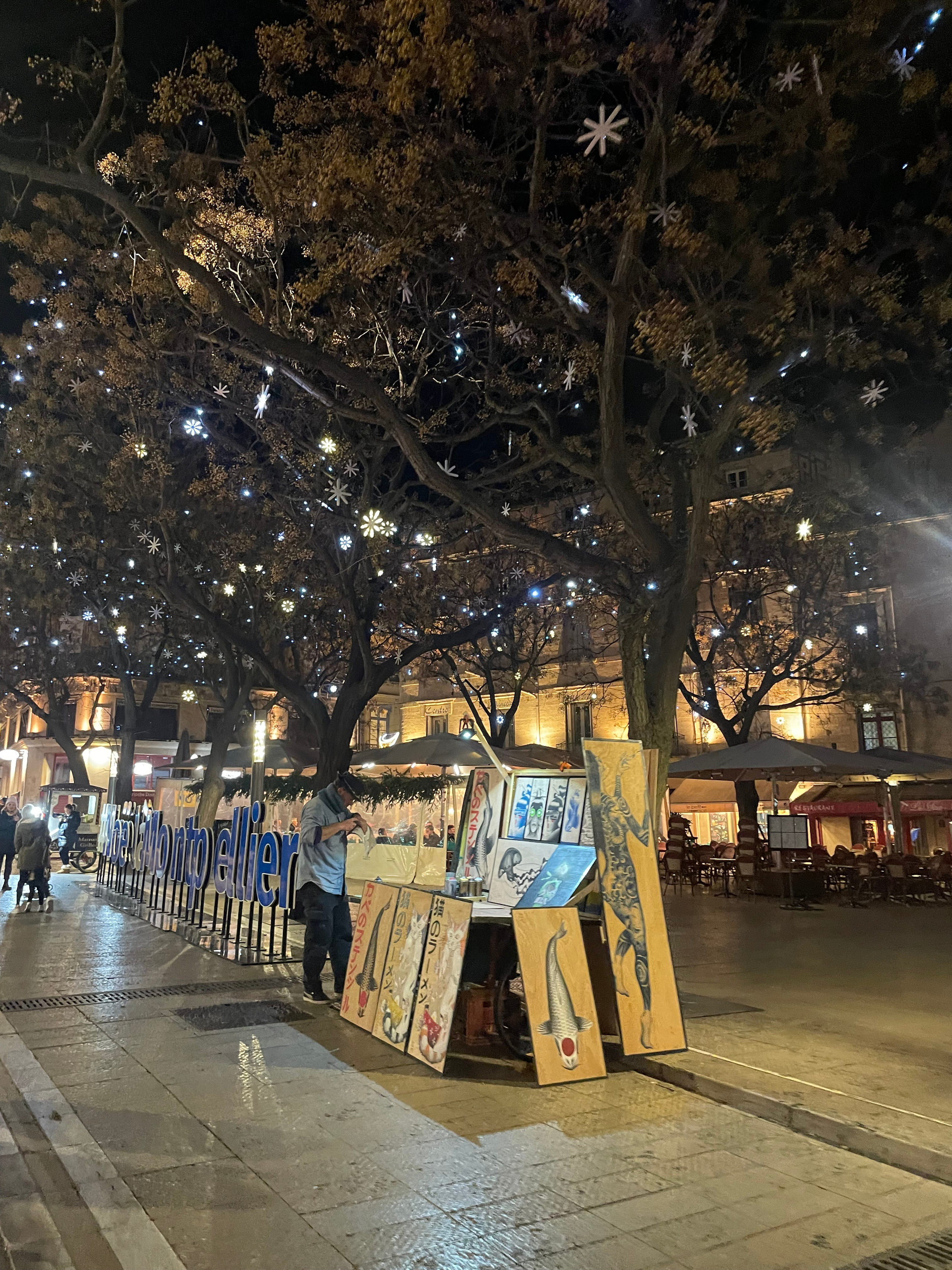 We rijden van Montenegro naar Portugal