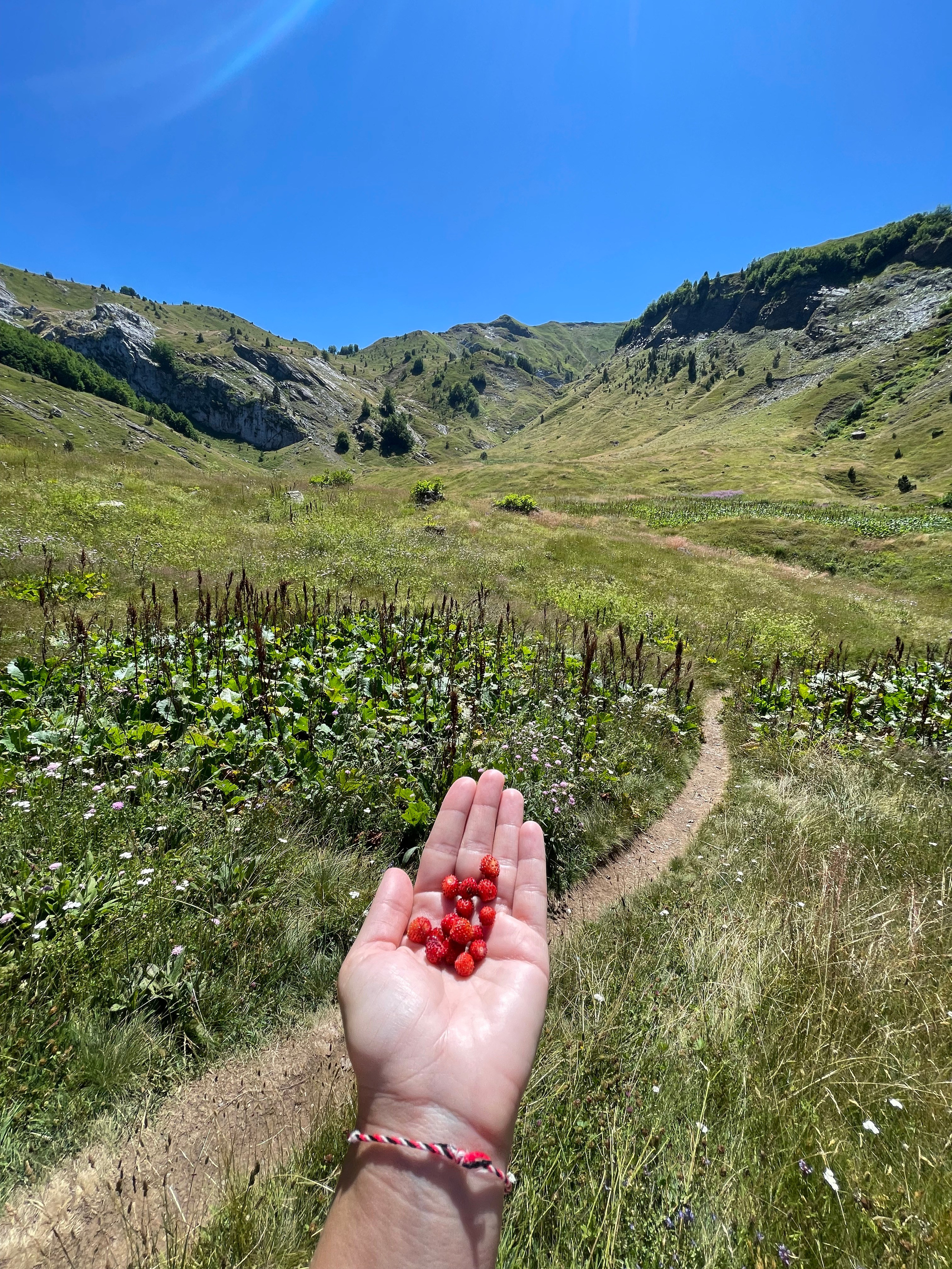 Nationale Parken van Montenegro: Verken Natuurlijke Schoonheid