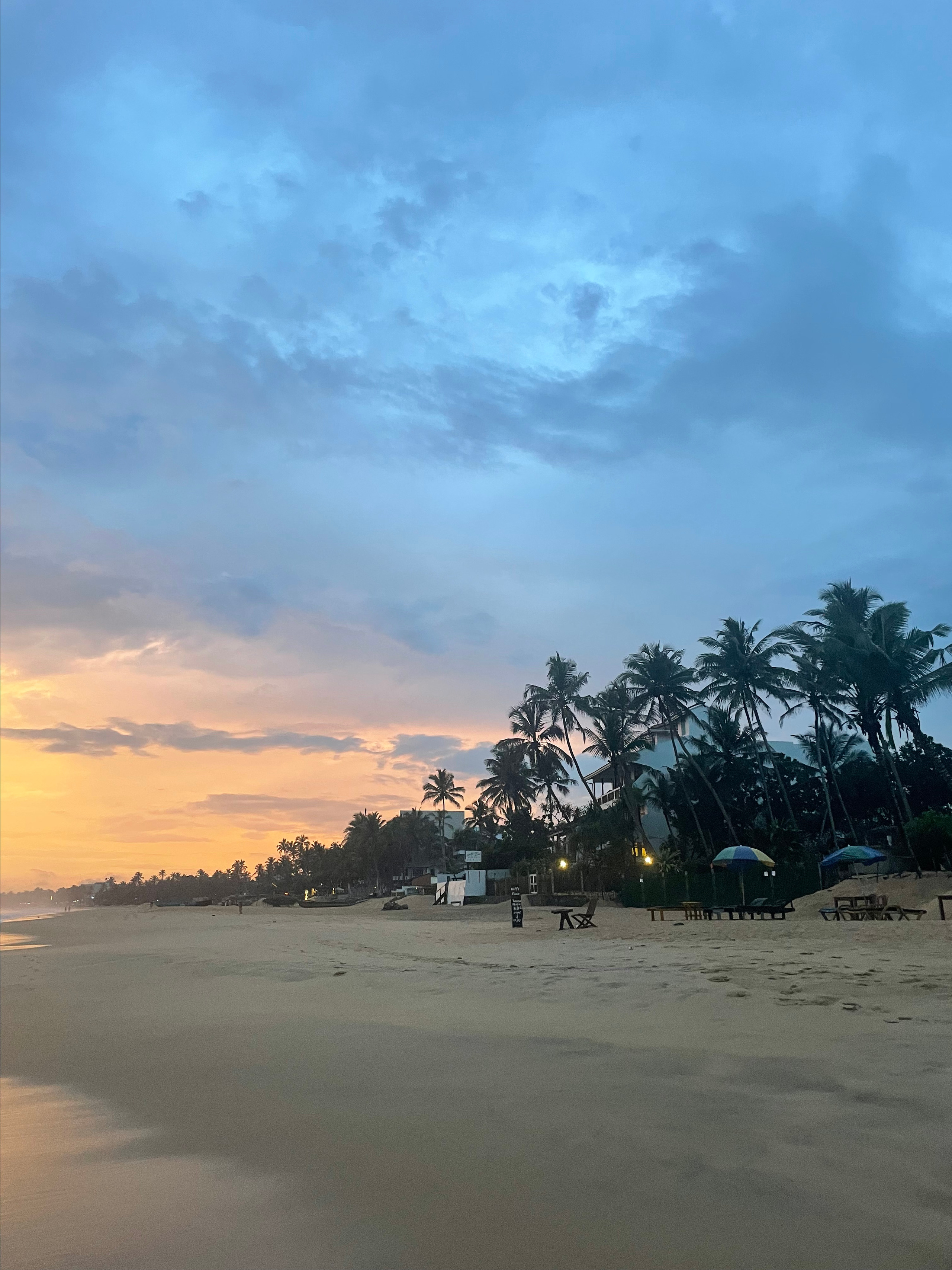 Sri Lanka'ya Seyahat Etmenin Artıları ve Eksileri - Kapsamlı Bir Rehbe