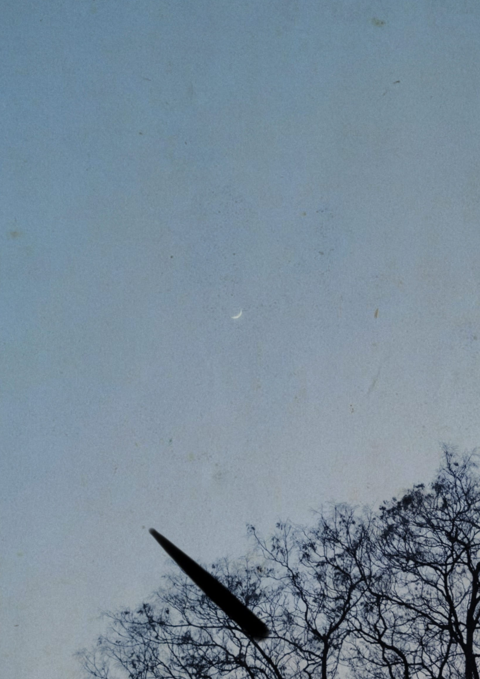 Photo diary of visual poetry