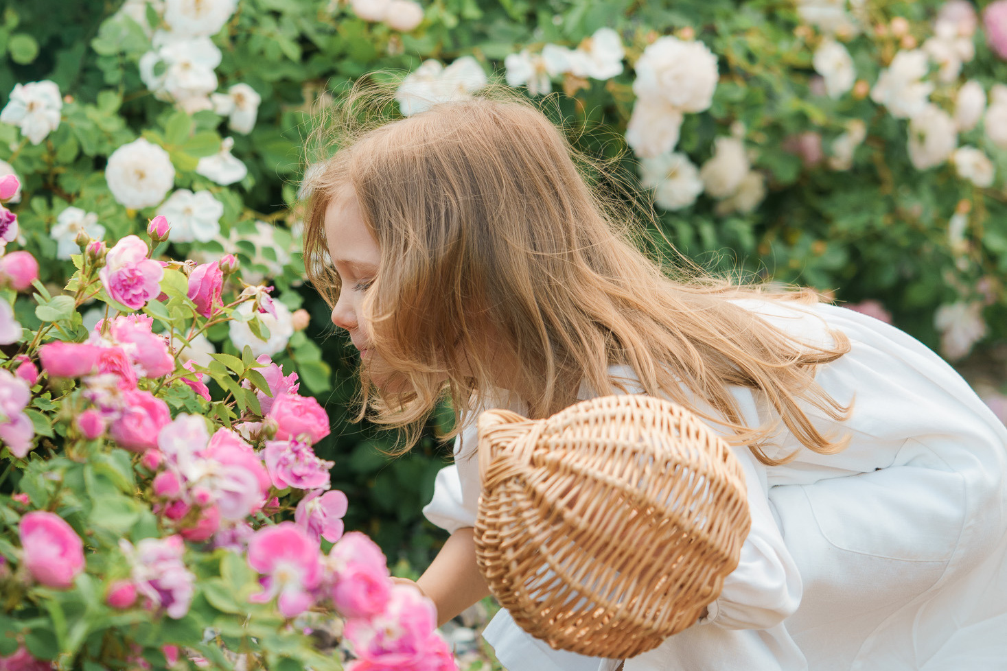 Lapsikuvaus Helsingissä, ruusutarhassa