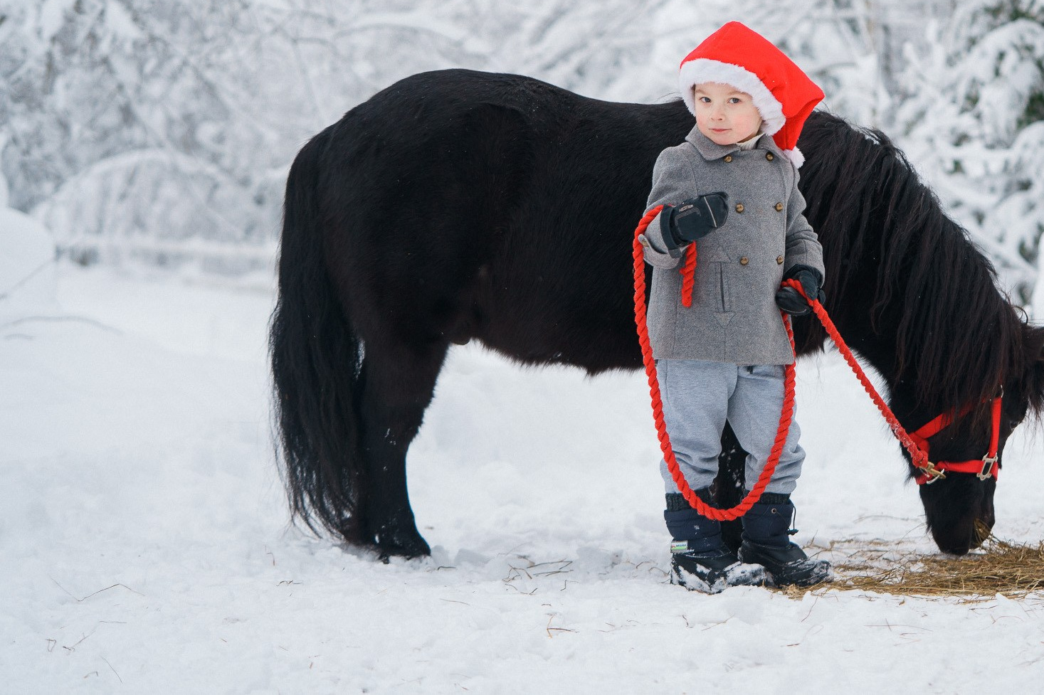 Joulukorttikuvaus studiossa Helsinki 2023