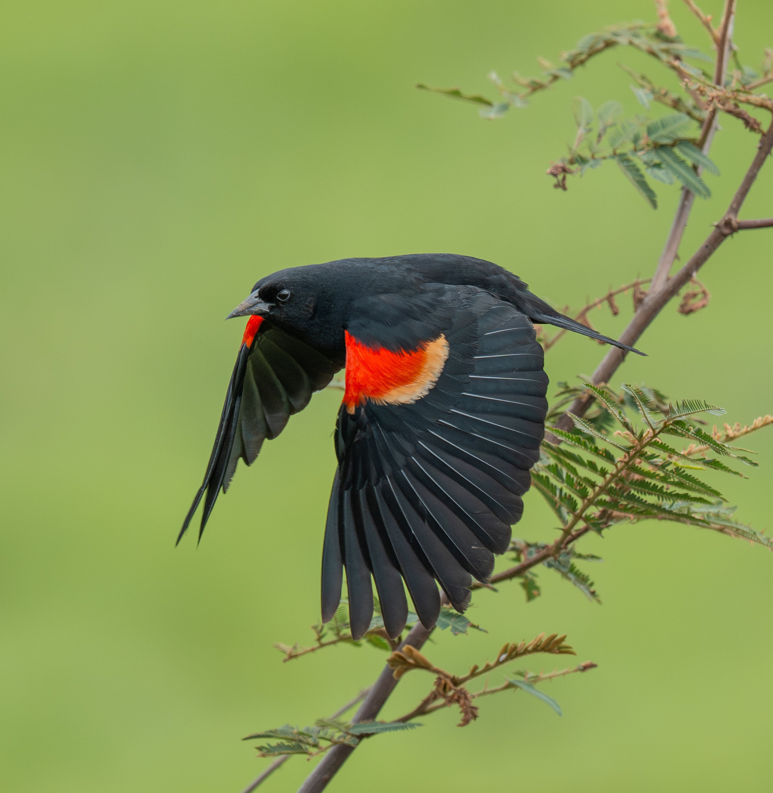 Nature photographer Yuri Soria-Galvarro