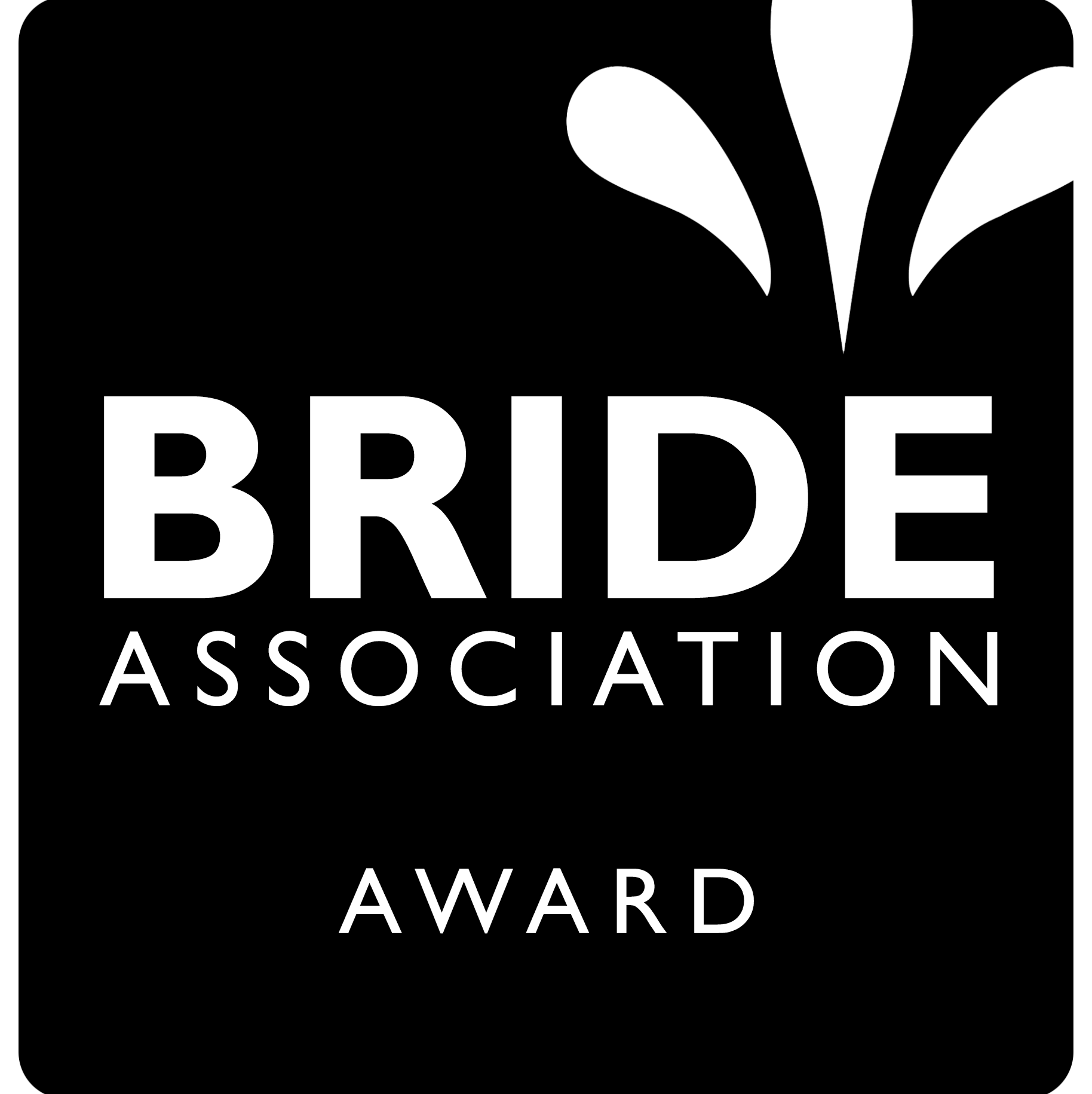 Bride Association best wedding awards winner logo, Yarets Studio