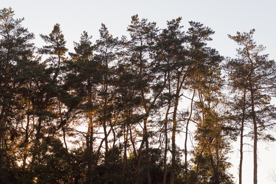 Івенти. Фотограф Київ Дніпро Запоріжжя Нікополь Олександрія Кривий ріг Покров