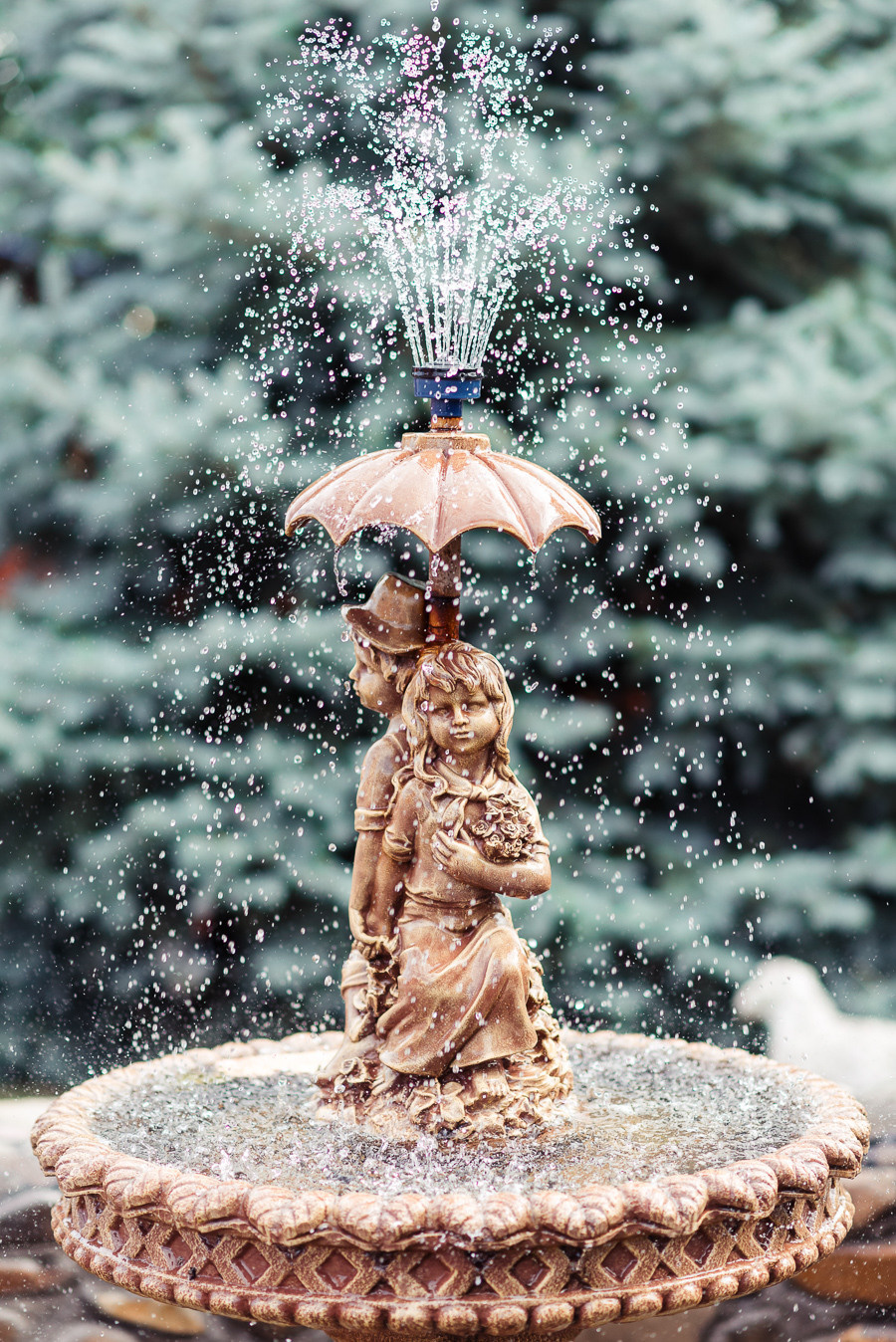 - 15 -. Фотограф Київ Дніпро Запоріжжя Нікополь Олександрія Кривий ріг Покров