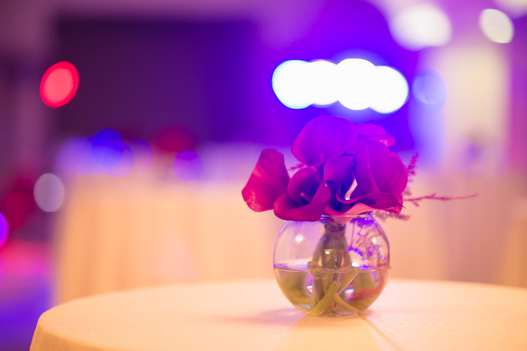 Івенти. Фотограф Київ Дніпро Запоріжжя Нікополь Олександрія Кривий ріг Покров