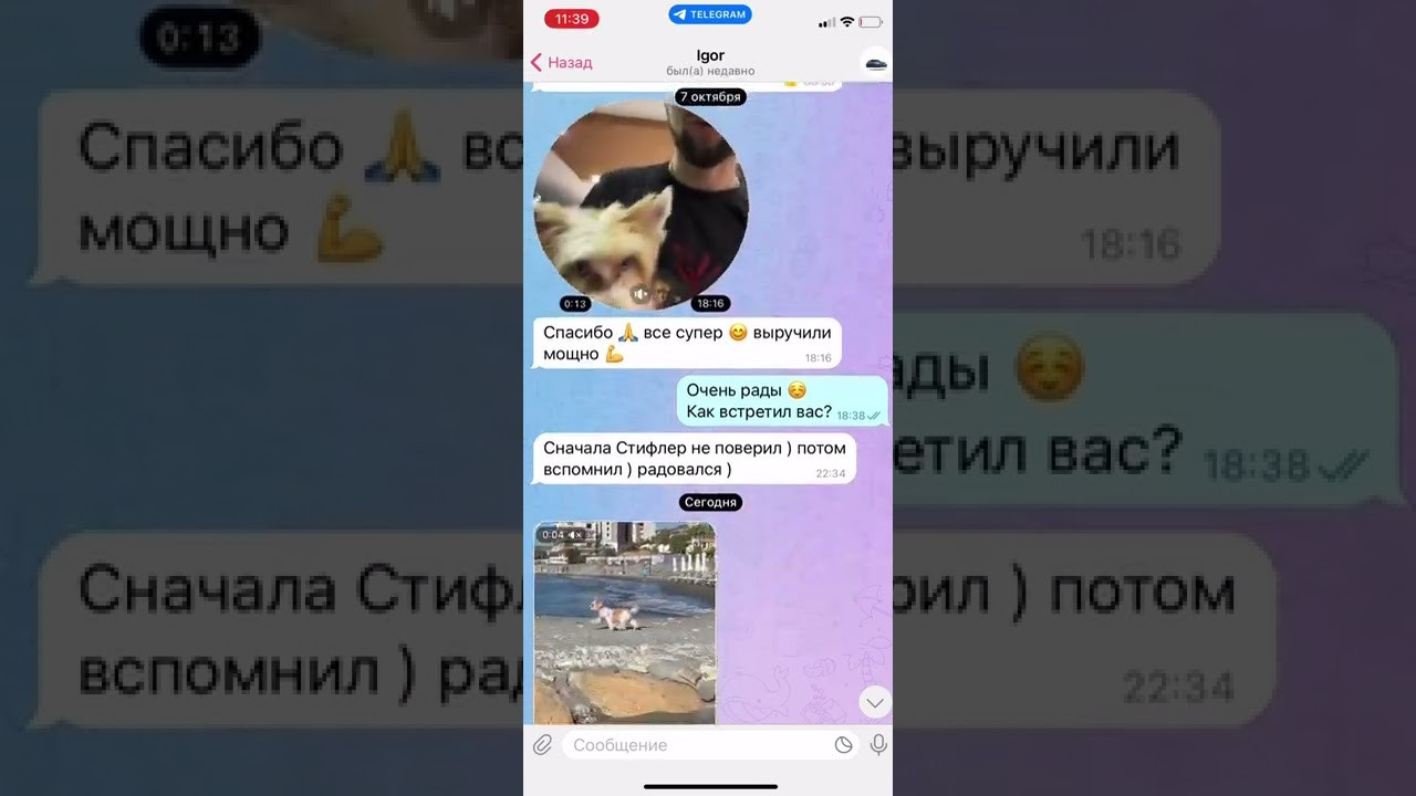 Отзывы клиентов. Почему нам доверяют перевозку своих питомцев. Перевозка, доставка домашних животных