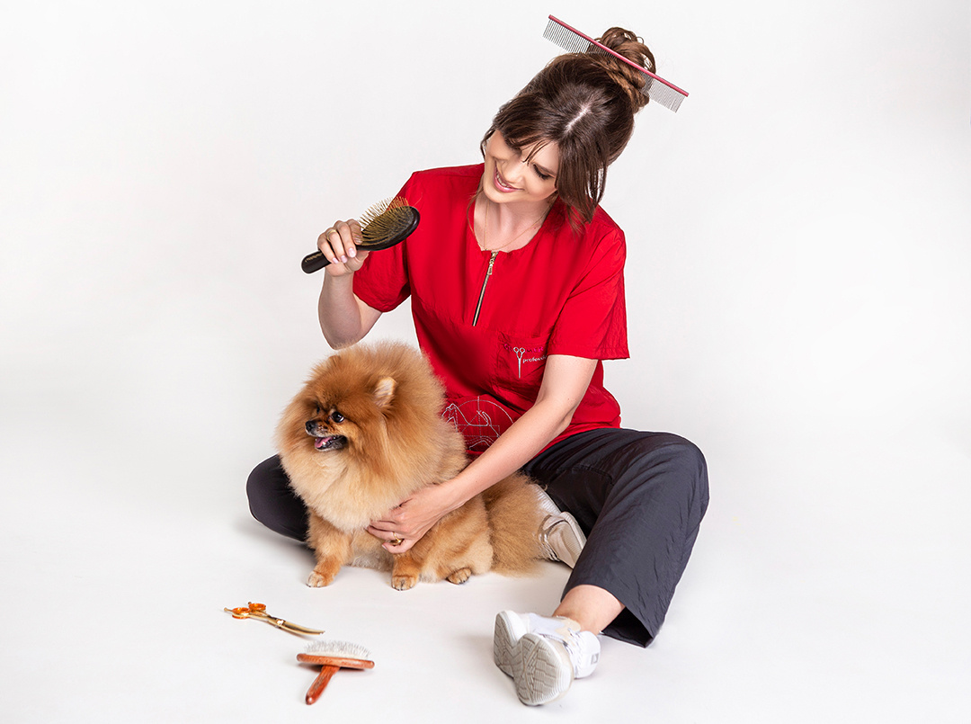 Catalog. Весільний та сімейний фотограф Харків