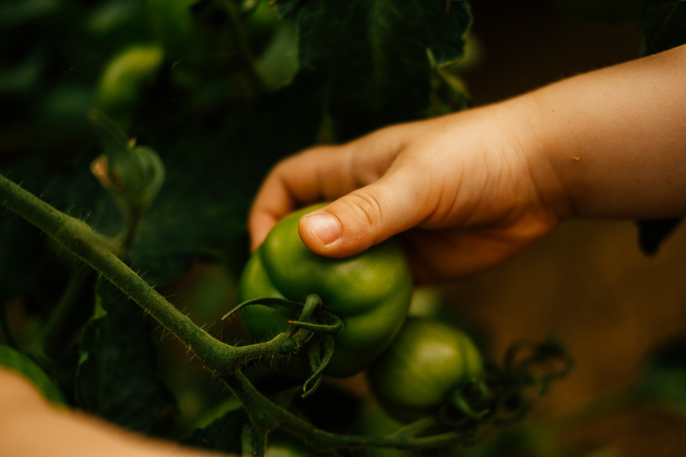 Сімейні. Сімейний і портретний фотограф у Києві Проценко Алла