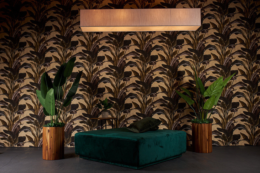 XXL studio. Сімейний та дитячий фотограф Київ, Ірпінь, Буча — Галина Пивоварова