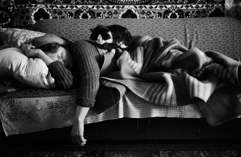 село Покровка, Чановский район, Новосибирская область, Россия. 2010