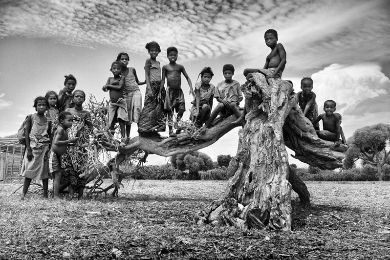 Genealogical tree, Androy region, Toliara province, Republic of Madagascar. 2008
