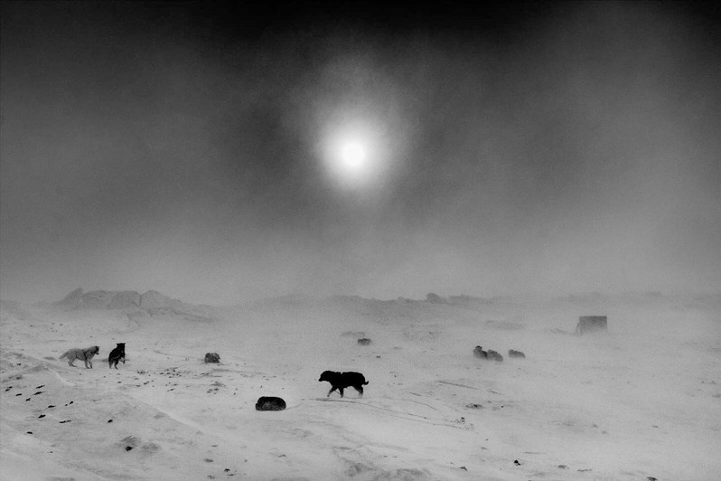 Ragnar Axelsson / Arctic Heroes. Noga Creative Union