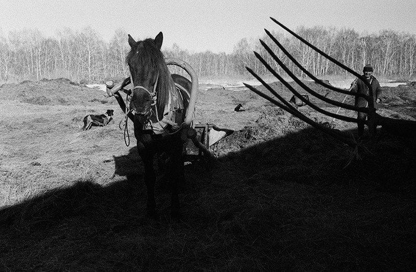 село Покровка, Чановский район, Новосибирская область, Россия. 2010