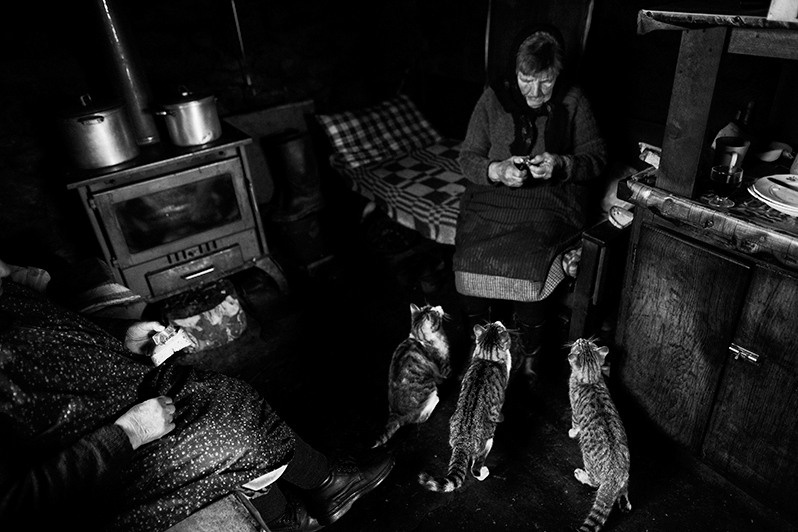 Woman feeds her cats, Boticas municipality, Vila Real district, Trás-os-Montes region, Portugal. 2015