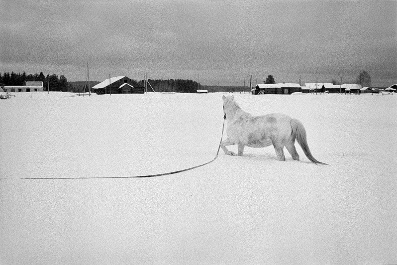 деревня Усть-Выйская, Верхнетоемский район, Архангельская область, Россия. 2011