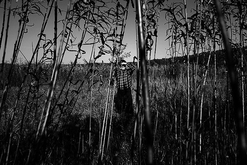 село Иза, Хустский район, Закарпатская область, Украина. 2006