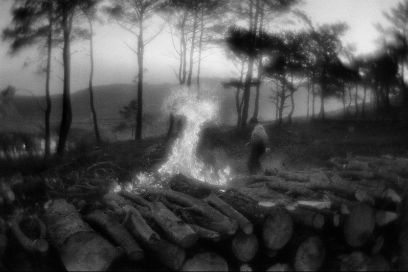Collecting firewood in the vicinity of the Dardanelles Strait, near Çanakkale, Turkey. January 2009