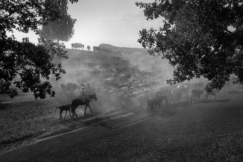 Пастух, посёлок Новочувашский, Зеленодольский район, Татарстан, Россия. 1998