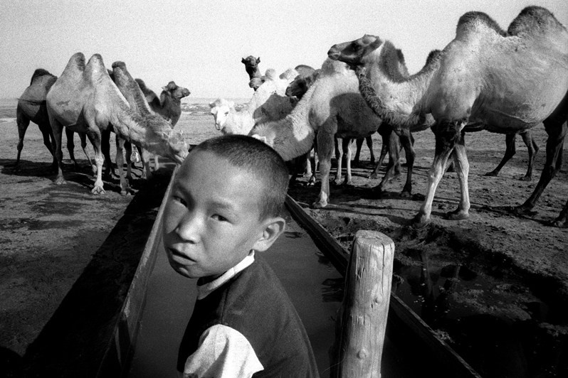 Water for men and animals, between Akespe and Tastubek villages, Aralsk district, Kyzyl-Orda region, Kazakhstan. August 2001