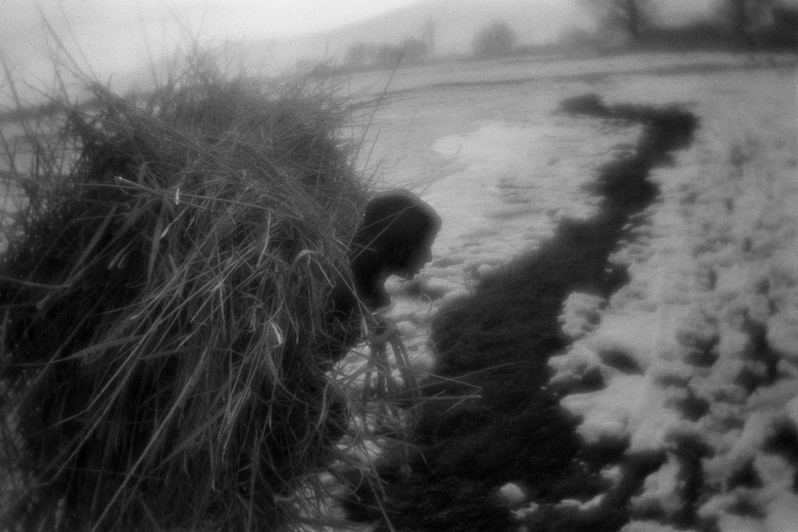 Gathering deadwood, near Bardakli settlement, Doğubeyazit district, Ağrı province, Turkey. January 2011