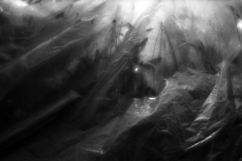 Целлофан, снятый с "кровати" Миши для дневной просушки, район Тропарёво-Никулино, Москва, Россия. 16 июня 2015