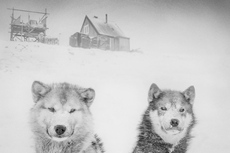 Ragnar Axelsson / Arctic Heroes. Noga Creative Union